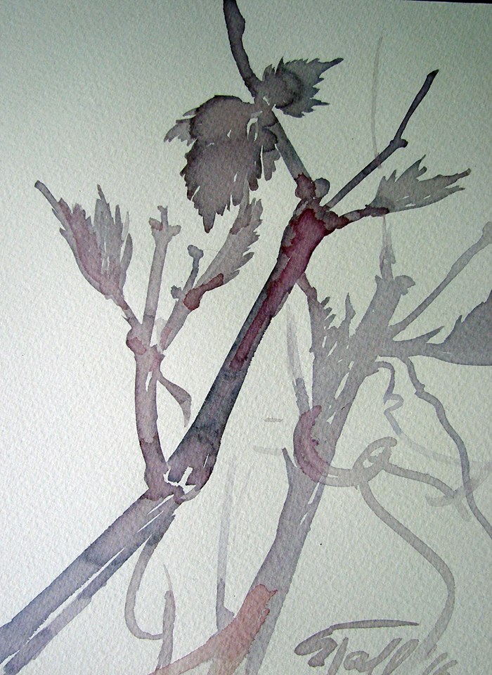 36384673_1684407331672665_6696542162714099712_n Siiri Tall maalid