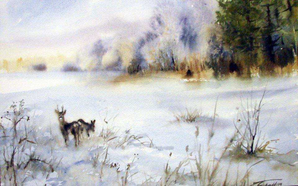 36434307_1684190611694337_5356268102982041600_n