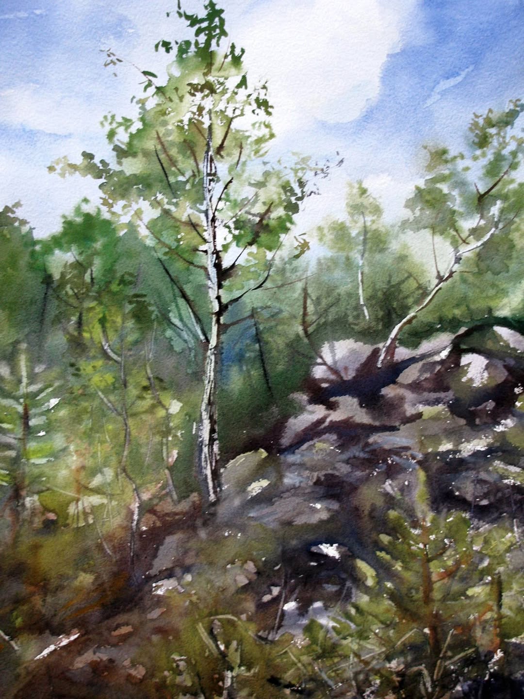 464568522_8566324613480868_6408192105486003757_n