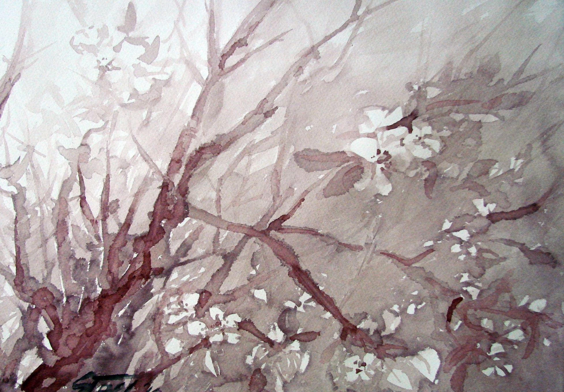 464590250_8569408373172492_2140725353765093980_n Siiri Tall maalid