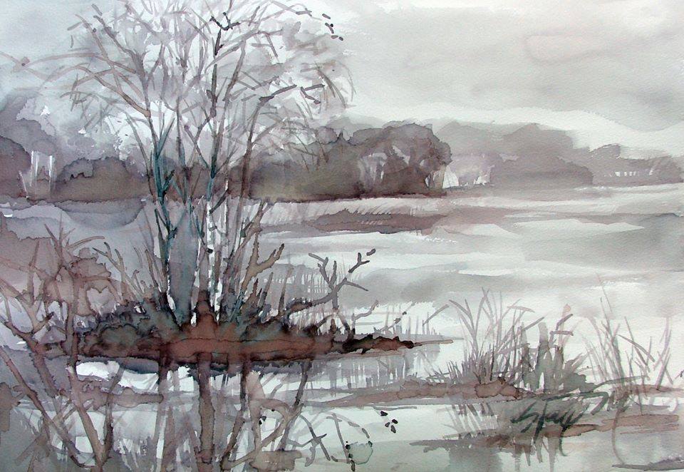 464713859_8566468490133147_6668090610203286797_n Siiri Tall Maalid