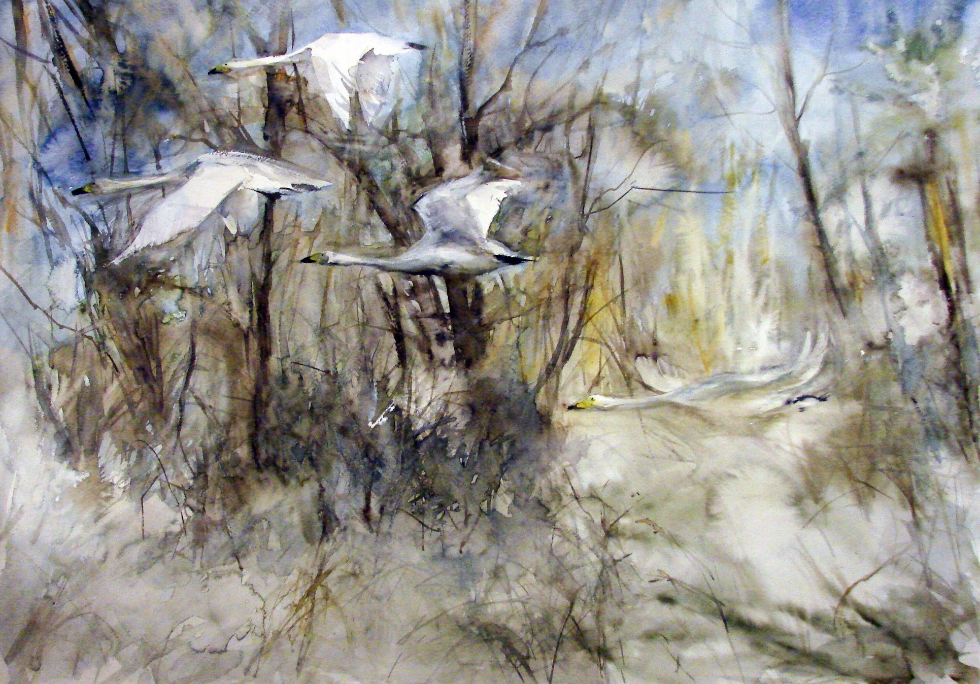 46511253_1892205217559541_238175968290668544_n