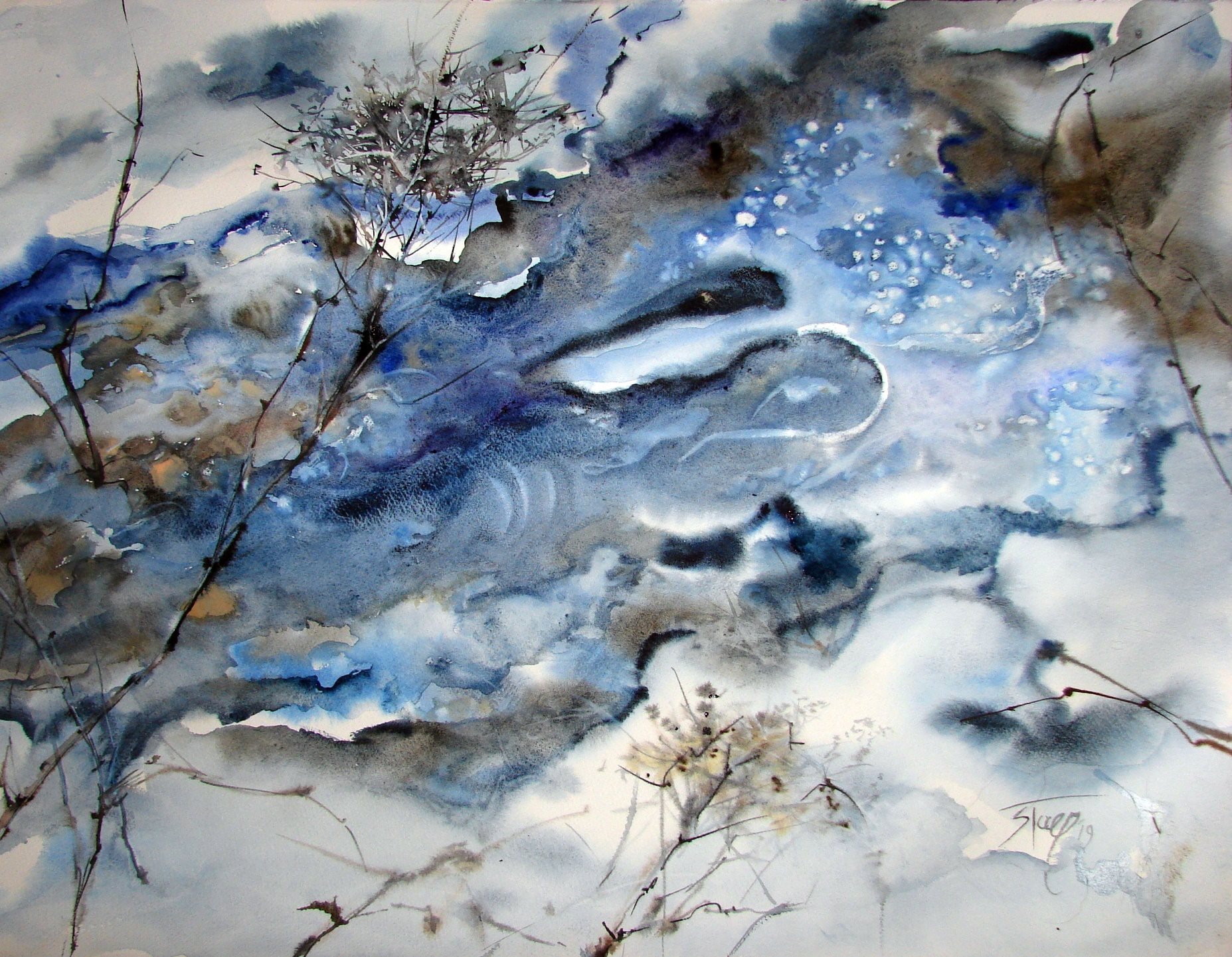 53921373_2049075421872519_7123495202228011008_n