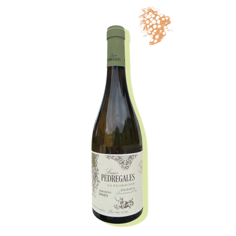 Pedregales La Floracíon