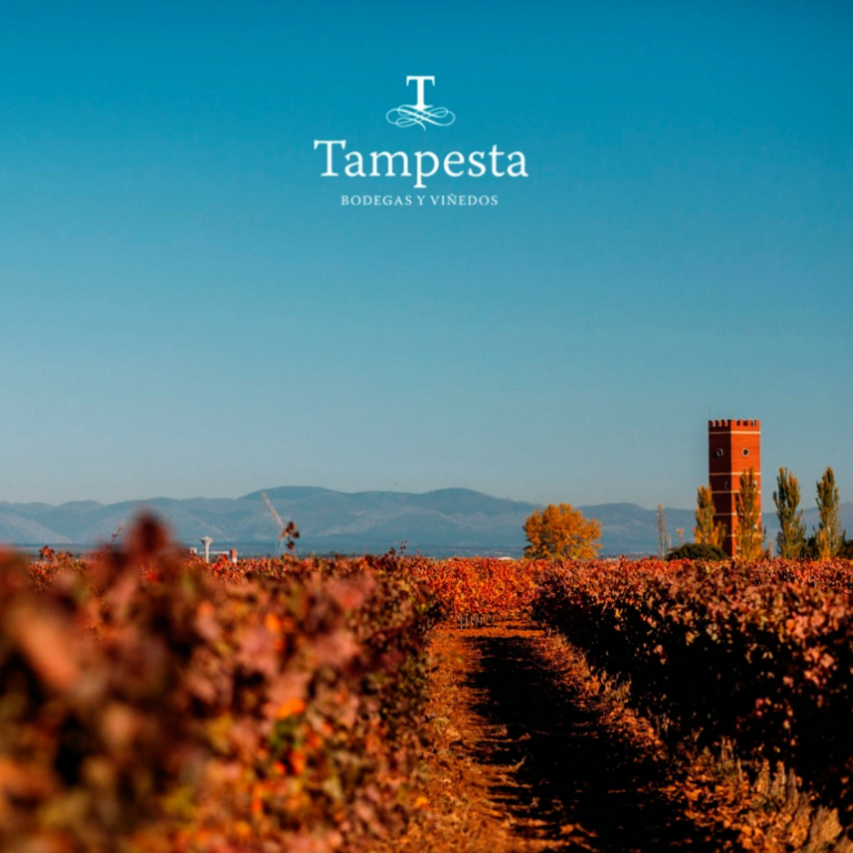 Tampesta vinyard